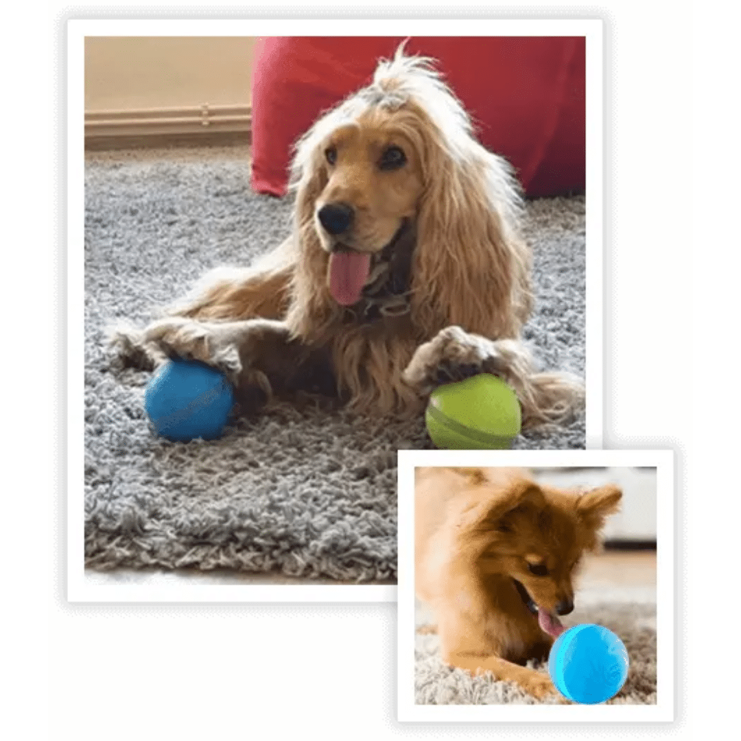 Peppy Pet Ball (Official Retailer) 2025