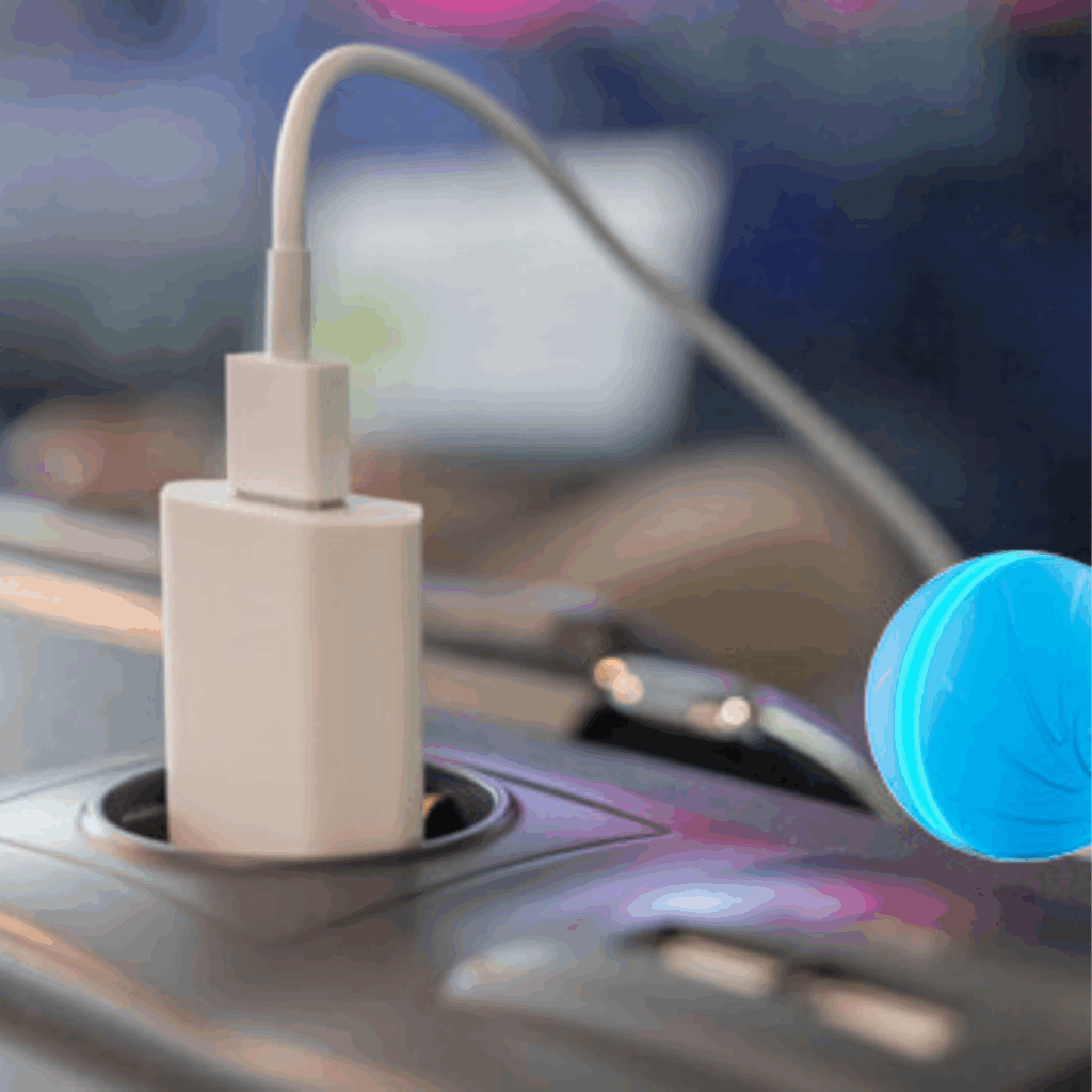 Peppy Pet Ball (Official Retailer) 2025