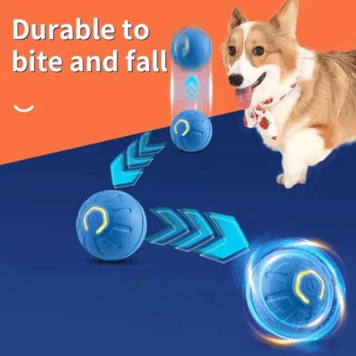 Peppy Pet Ball (Official Retailer) 2025
